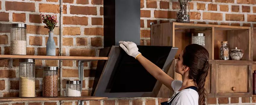 Chimney Installation in Rosemont, CA