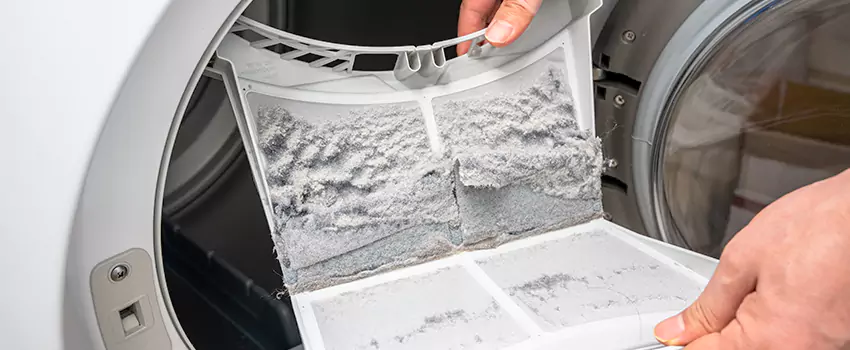 Best Dryer Lint Removal Company in Rosemont, California