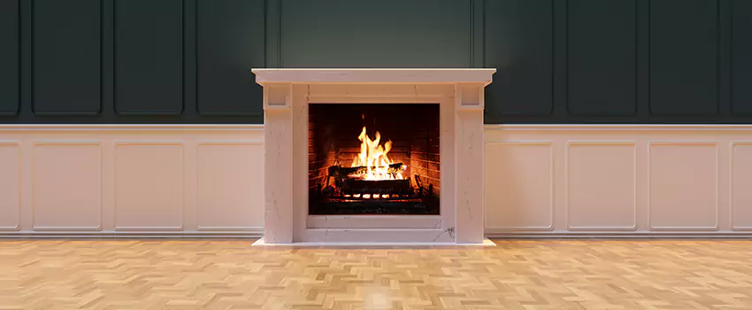 Napoleon Electric Fireplaces Inspection Service in Rosemont, California