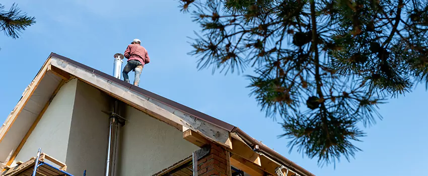 Birds Removal Contractors from Chimney in Rosemont, CA